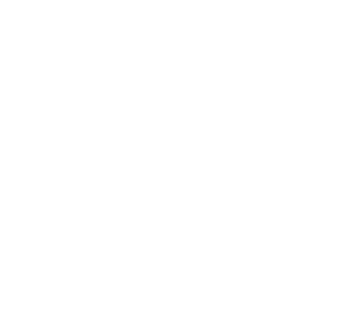 birddogpropertyinspectionsllc-logo-wht